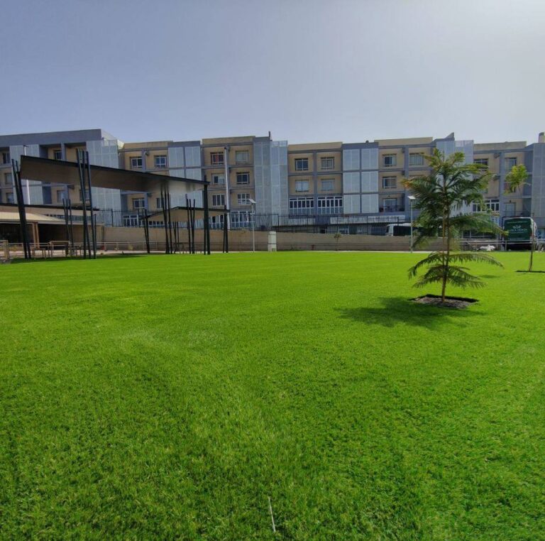 Amplia zona verde de césped artificial en una urbanización